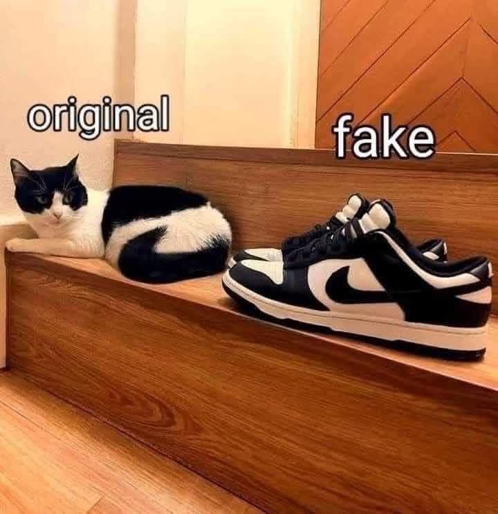 1000054280.jpg