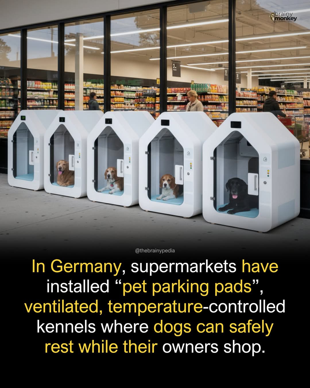 1000054865.jpg