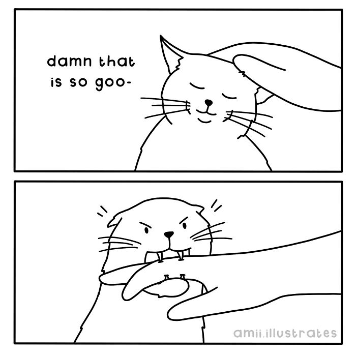1000055536.jpg