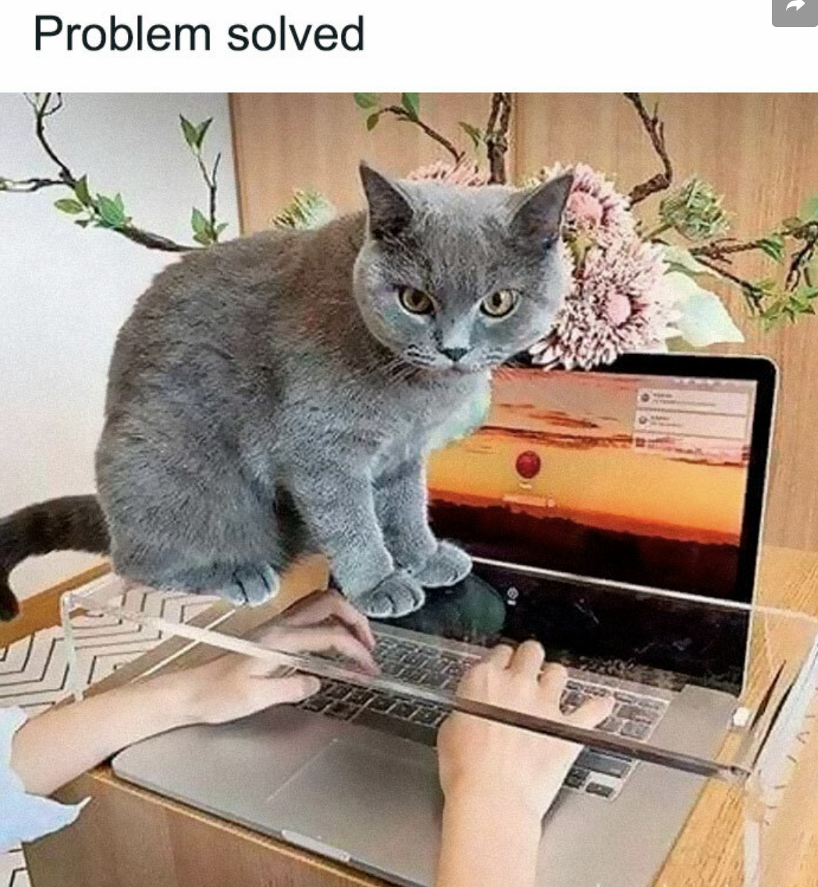 1755365173535.png