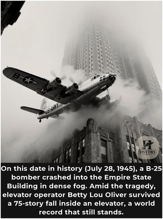 194.jpg