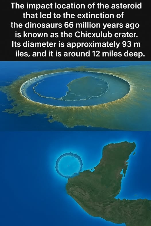 1a.jpg