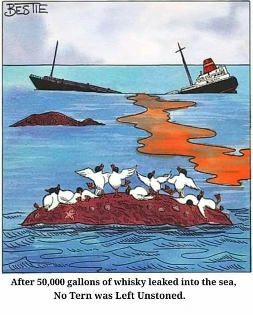 1a.jpg