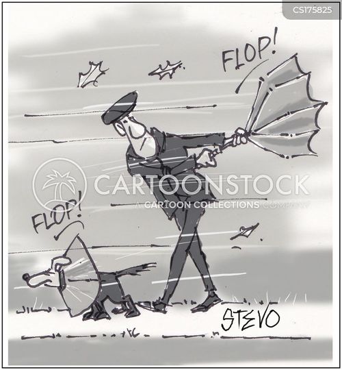 1b.jpg