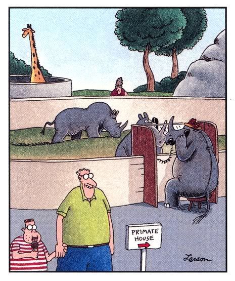 1b.jpg