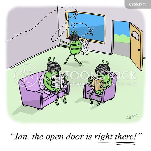1b.jpg