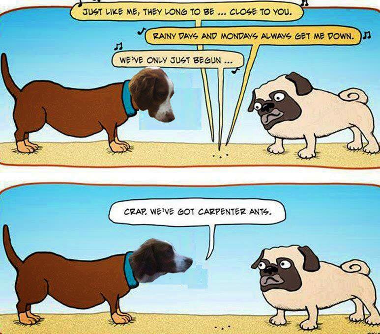1c.jpg
