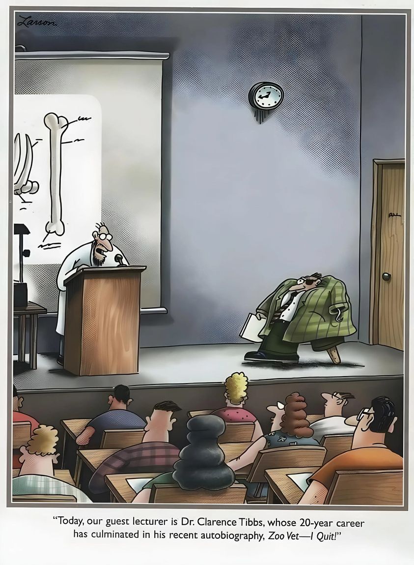 1c.jpg