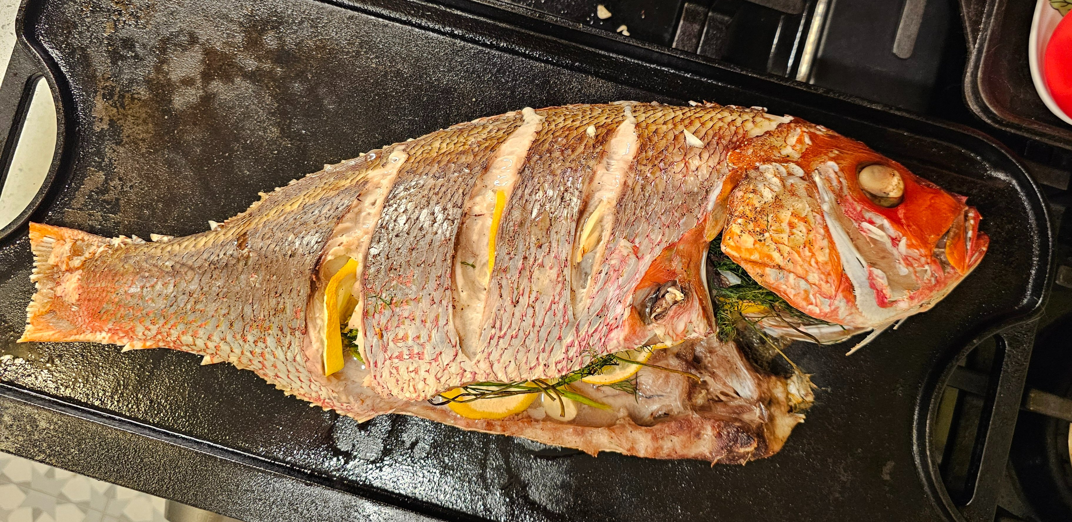 20251113_175746 (1).jpg