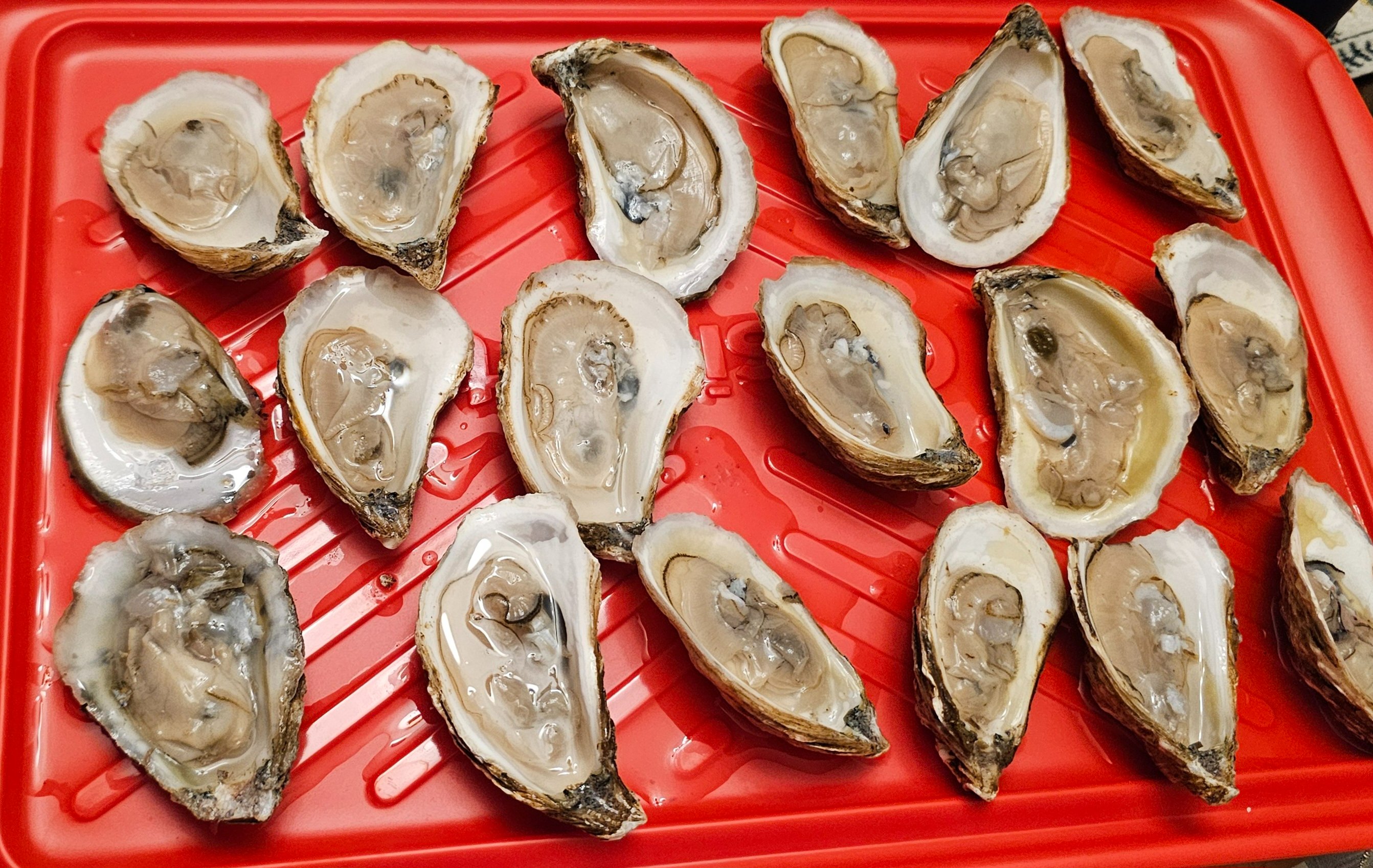 20251224_174442 (1).jpg