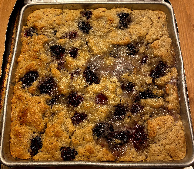 blackberry_cobbler_041622_IMG_9496.jpg