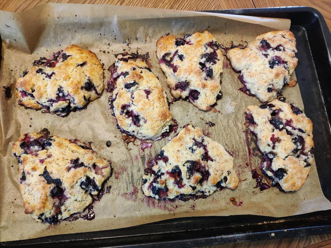 Blueberry scones.jpeg