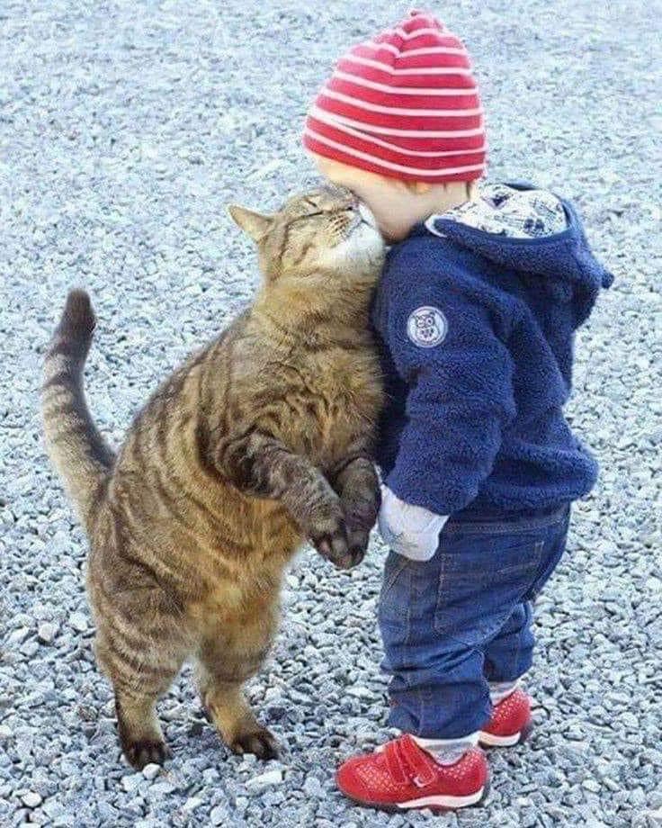 Cat and kid.jpg