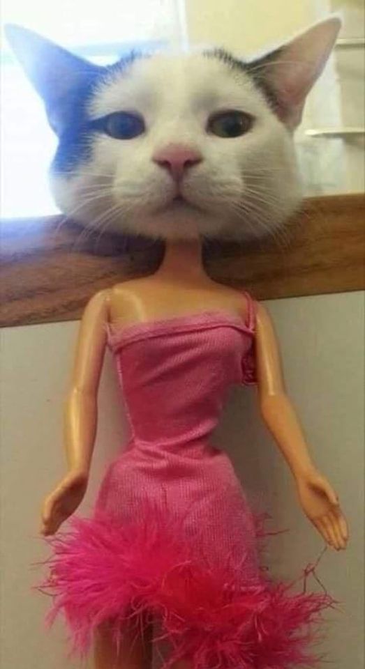 Cat Barbie.jpg