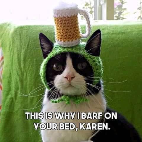 Cat barf.jpg