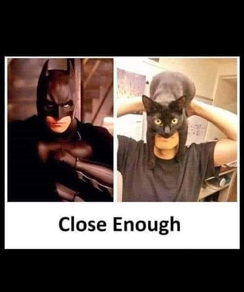 cat batman.jpg