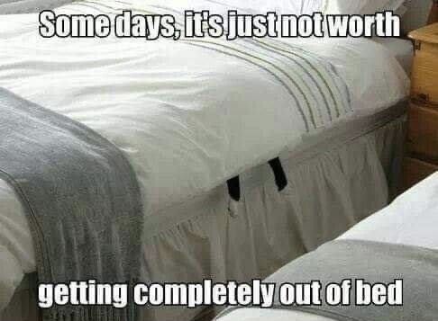 cat bed 2.jpg