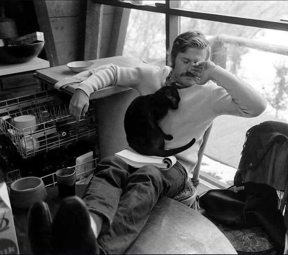 Cat Bob Redford.jpg