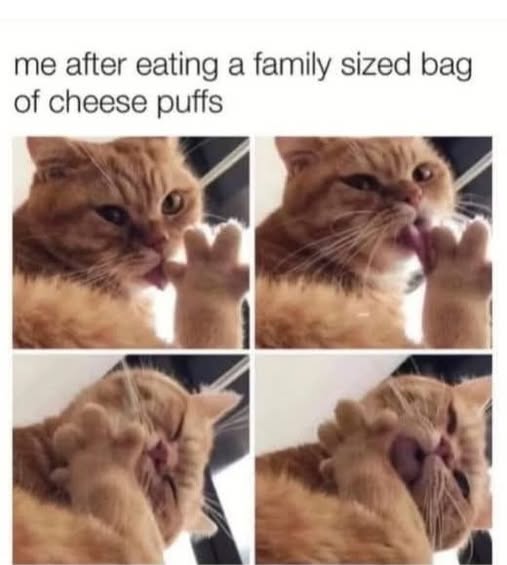 Cat cheese puffs.jpg