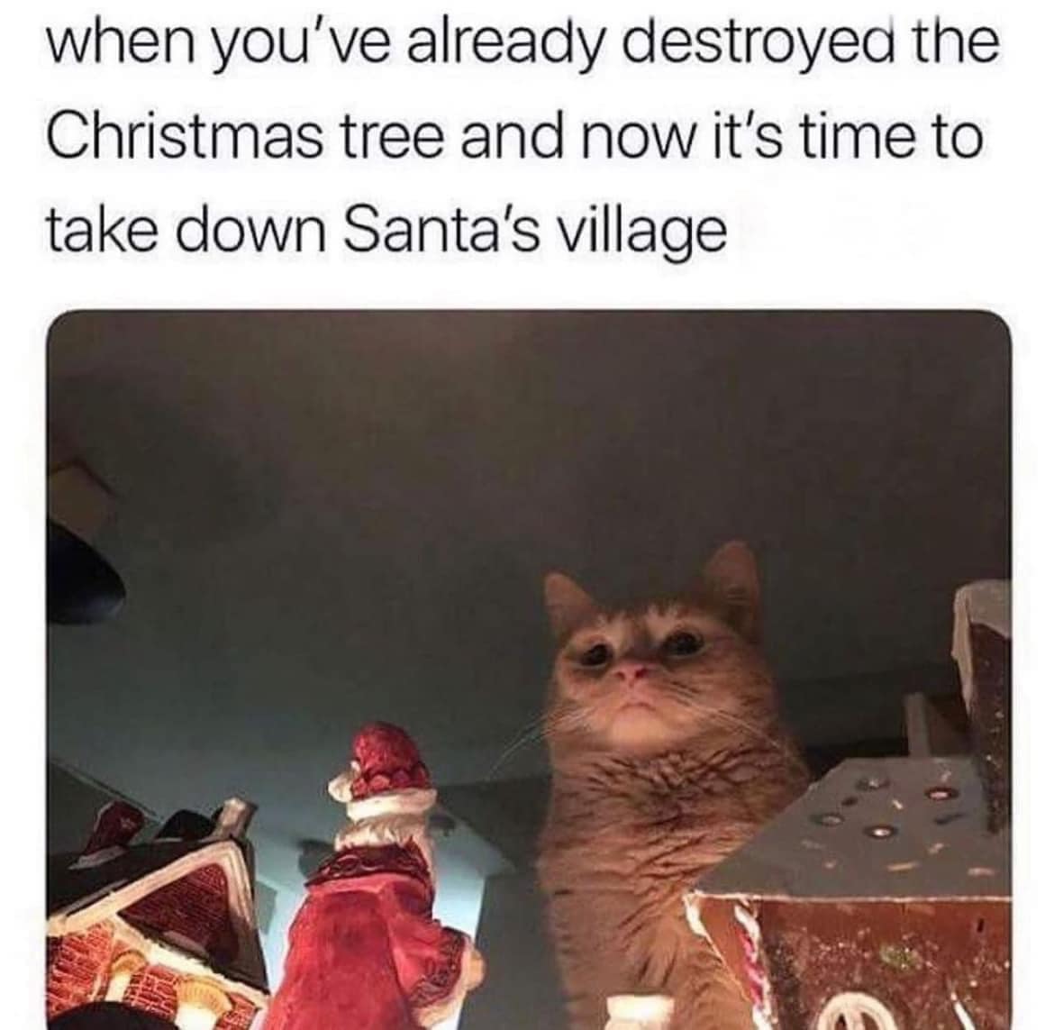 Cat Christmas - village.jpg