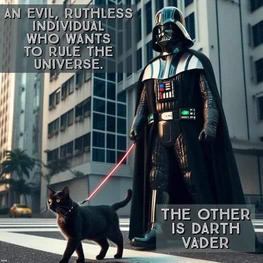 Cat Darth.jpg