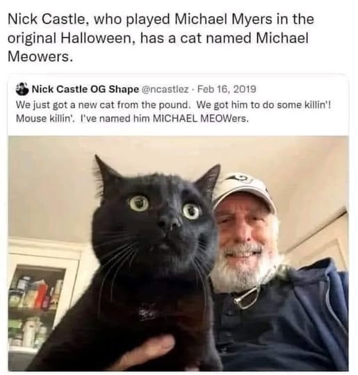 Cat Halloween.jpg
