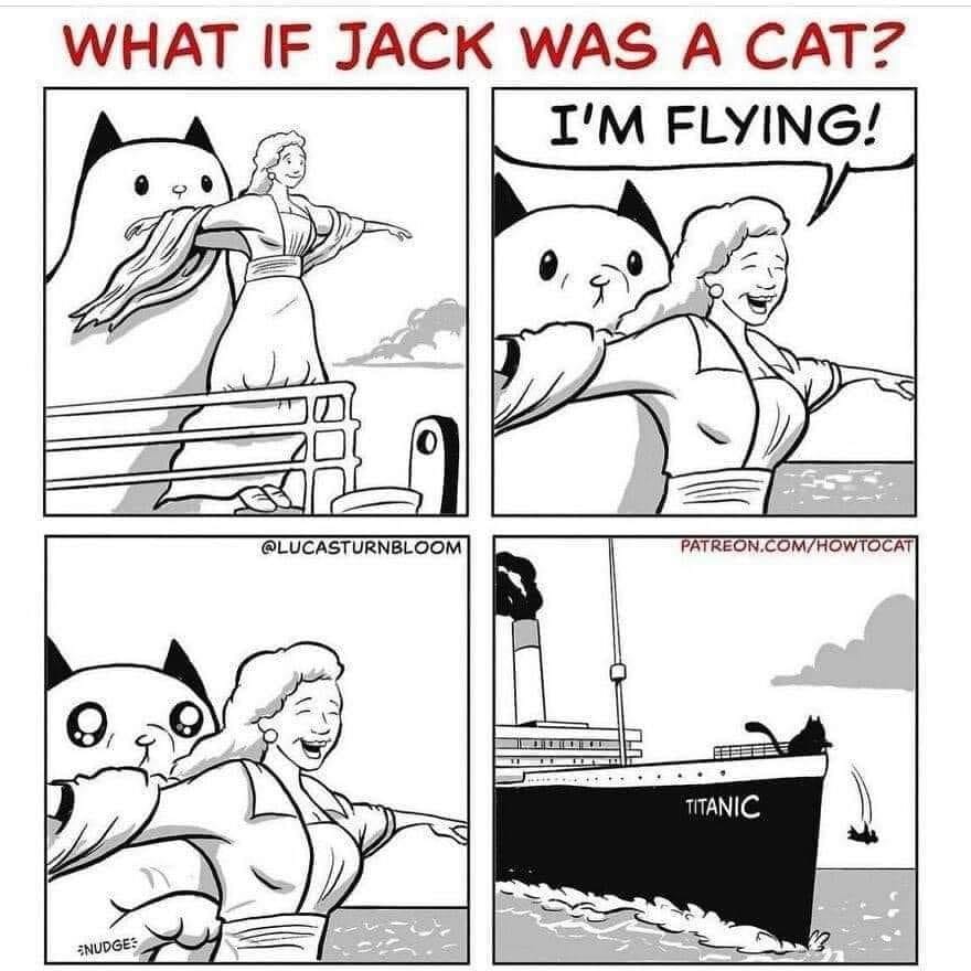 Cat Jack.jpg