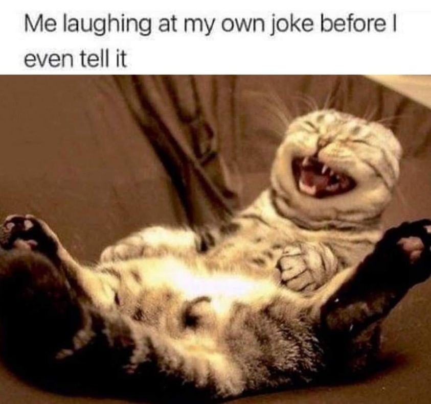 Cat laughing.jpg