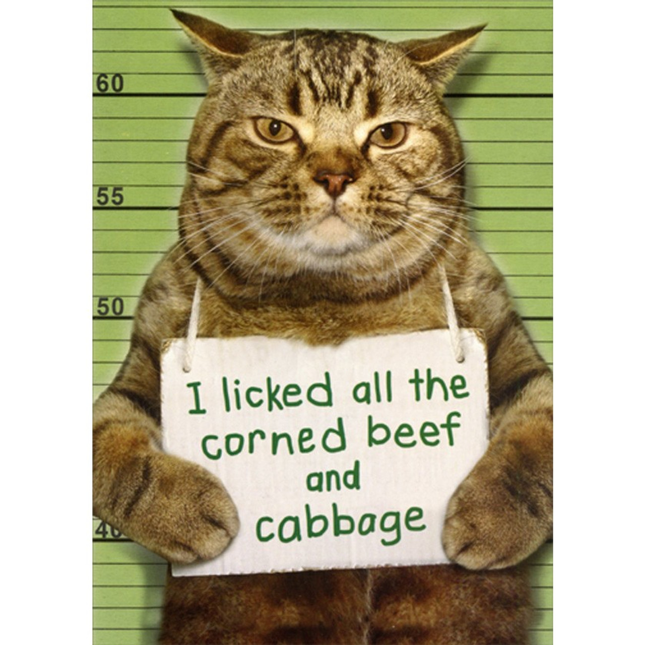 Cat licked.jpg
