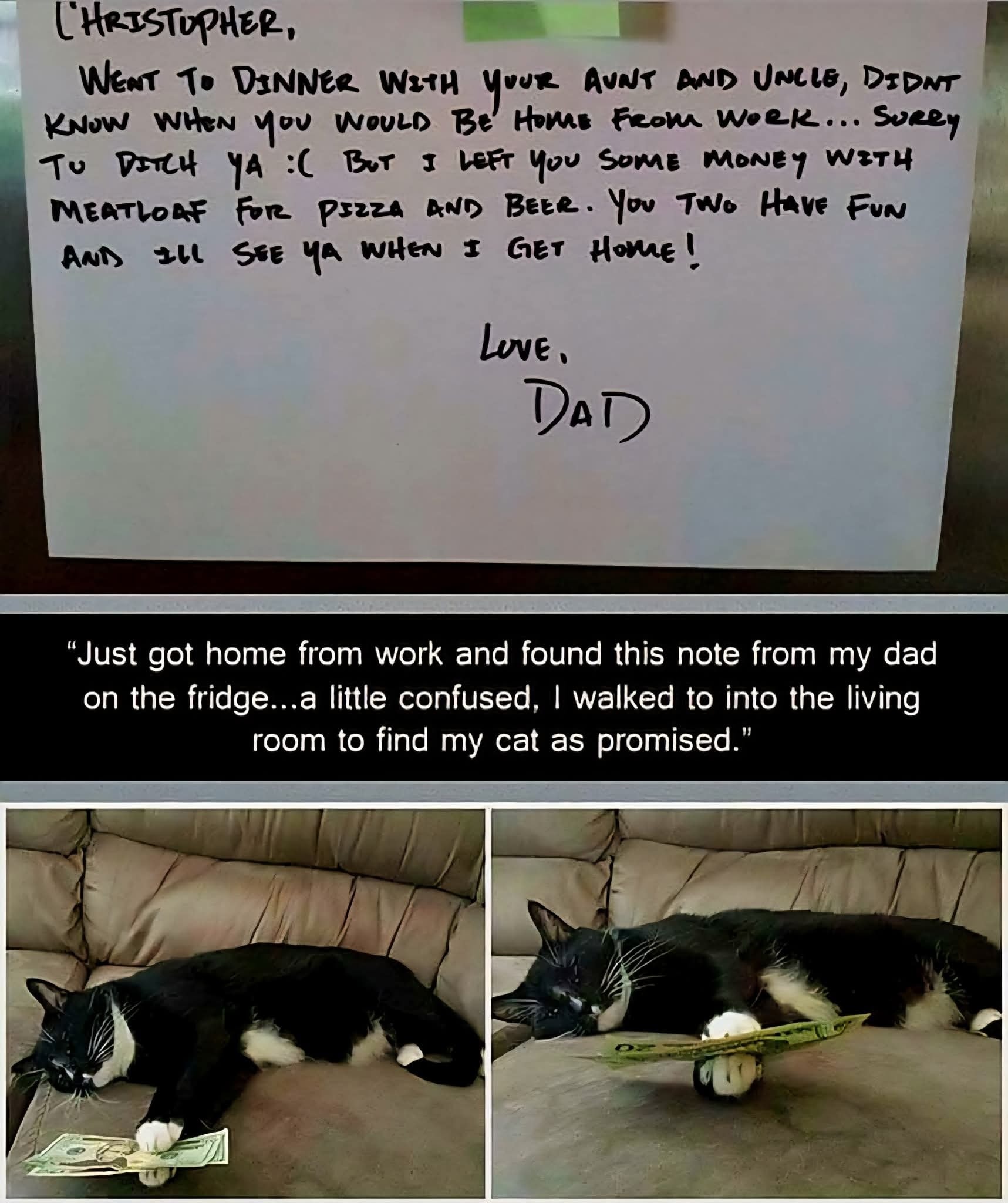 Cat money.jpg