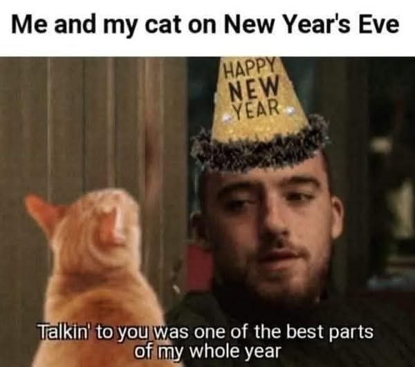 Cat new year.jpg