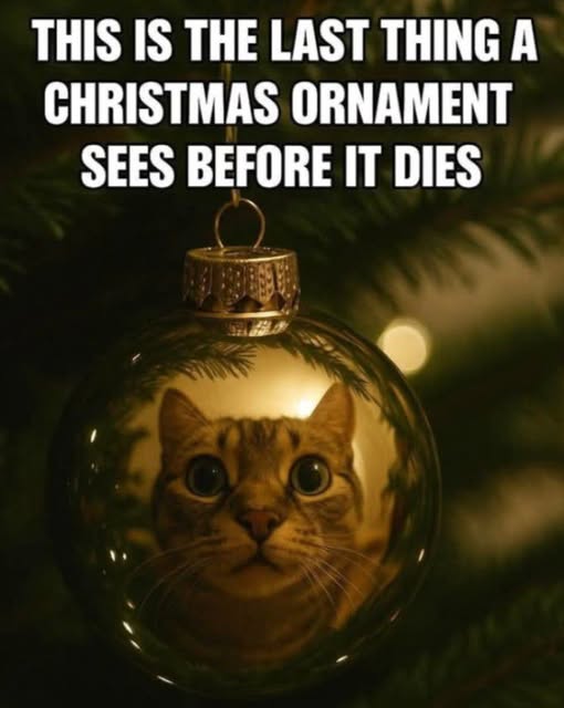 Cat ornament.jpg