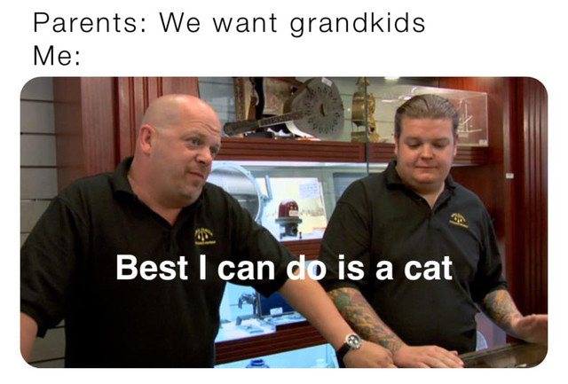 Cat Pawn Stars.jpg