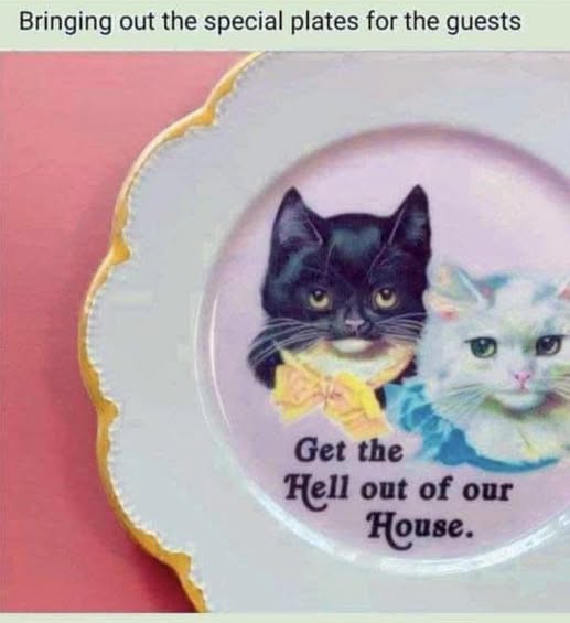 Cat plate.jpg