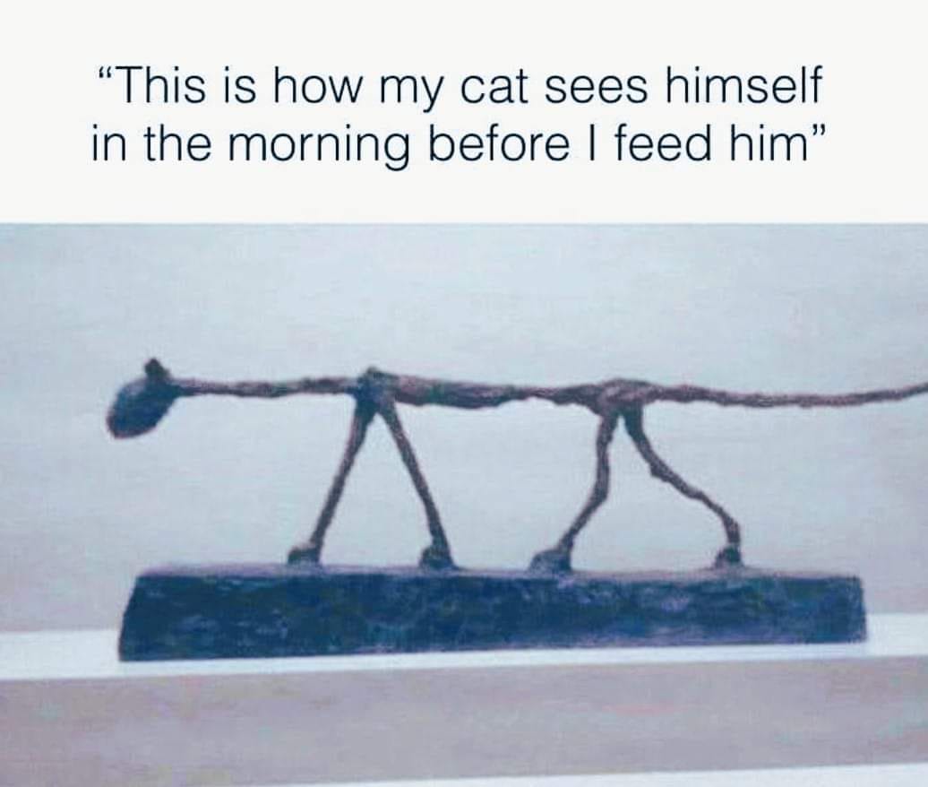 Cat skinny.jpg