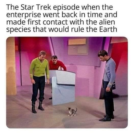 Cat Star Trek.jpg