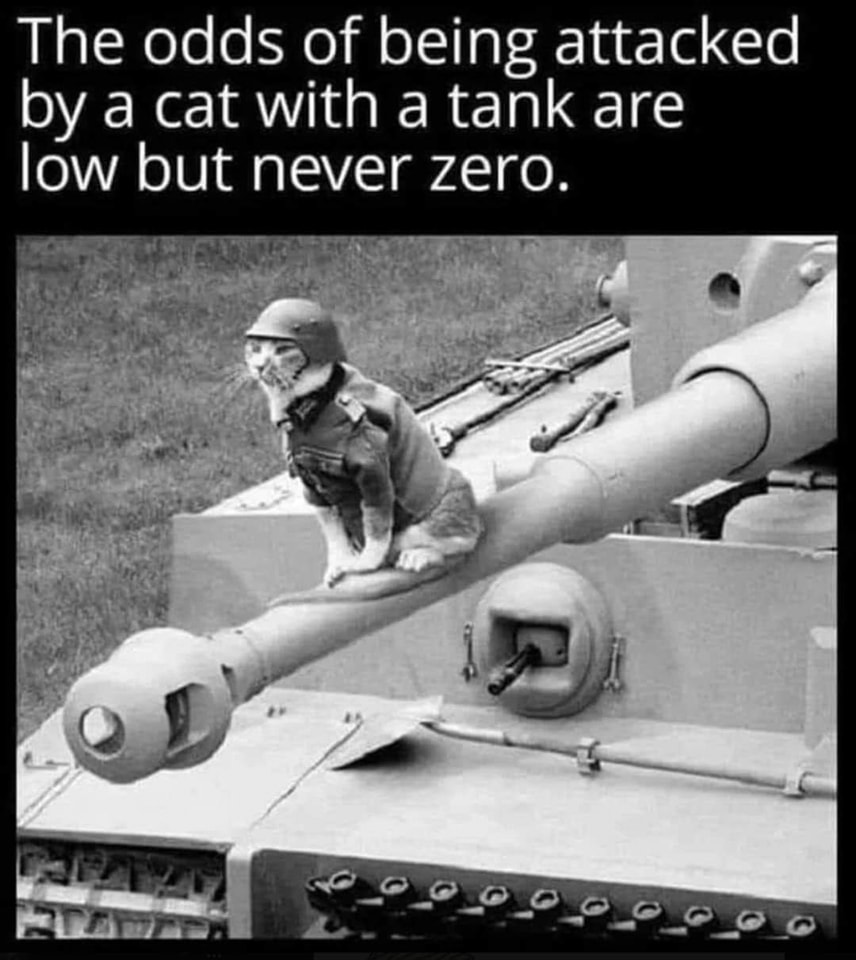 Cat tank.jpg