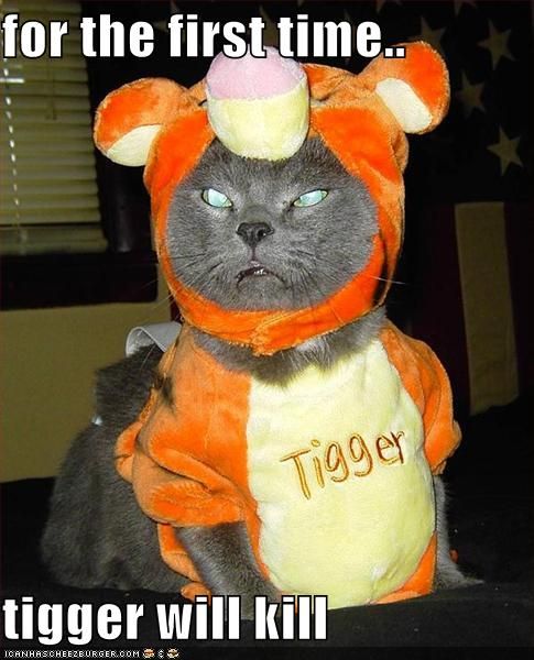 Cat tigger.jpg