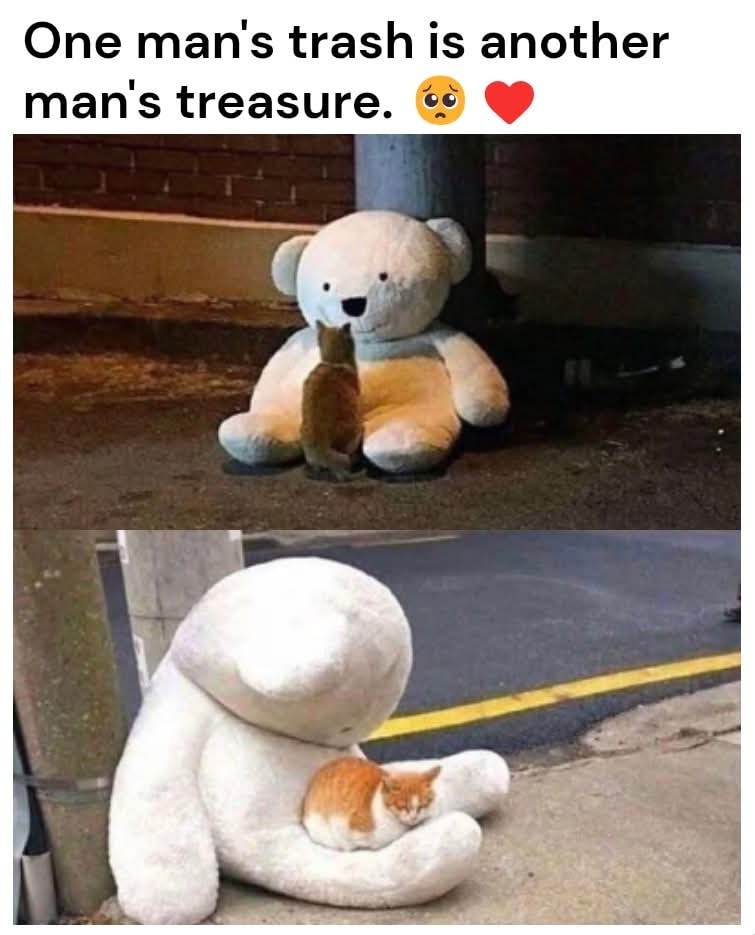 Cat trash.jpg