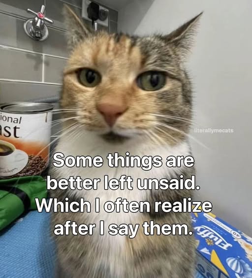 Cat unsaid.jpg
