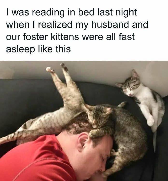 caturday412.jpg