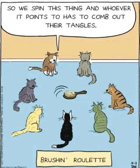 caturday428.jpg