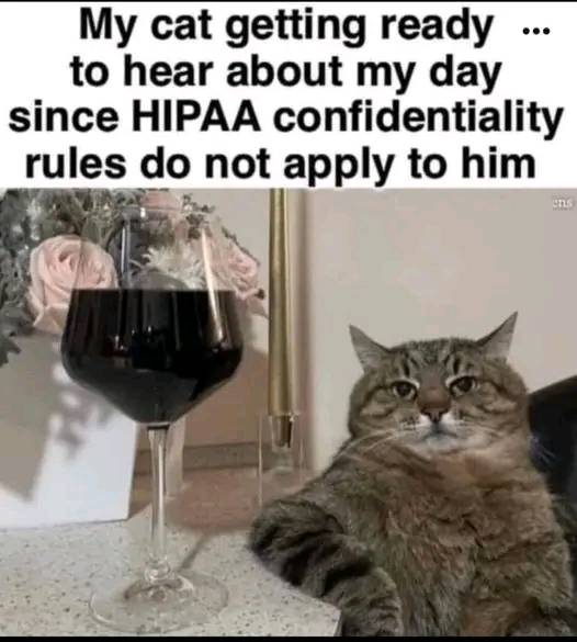 caturday436.jpg