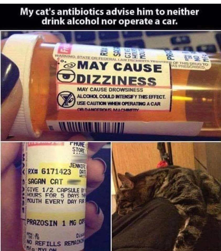 caturday467.jpg