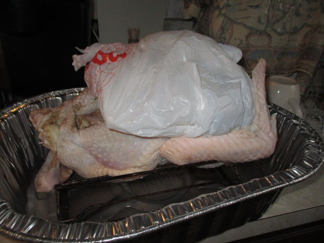 Chilling 2020 turkey breast.JPG