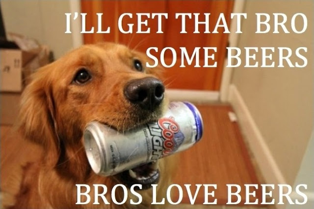 Dog beers.jpg