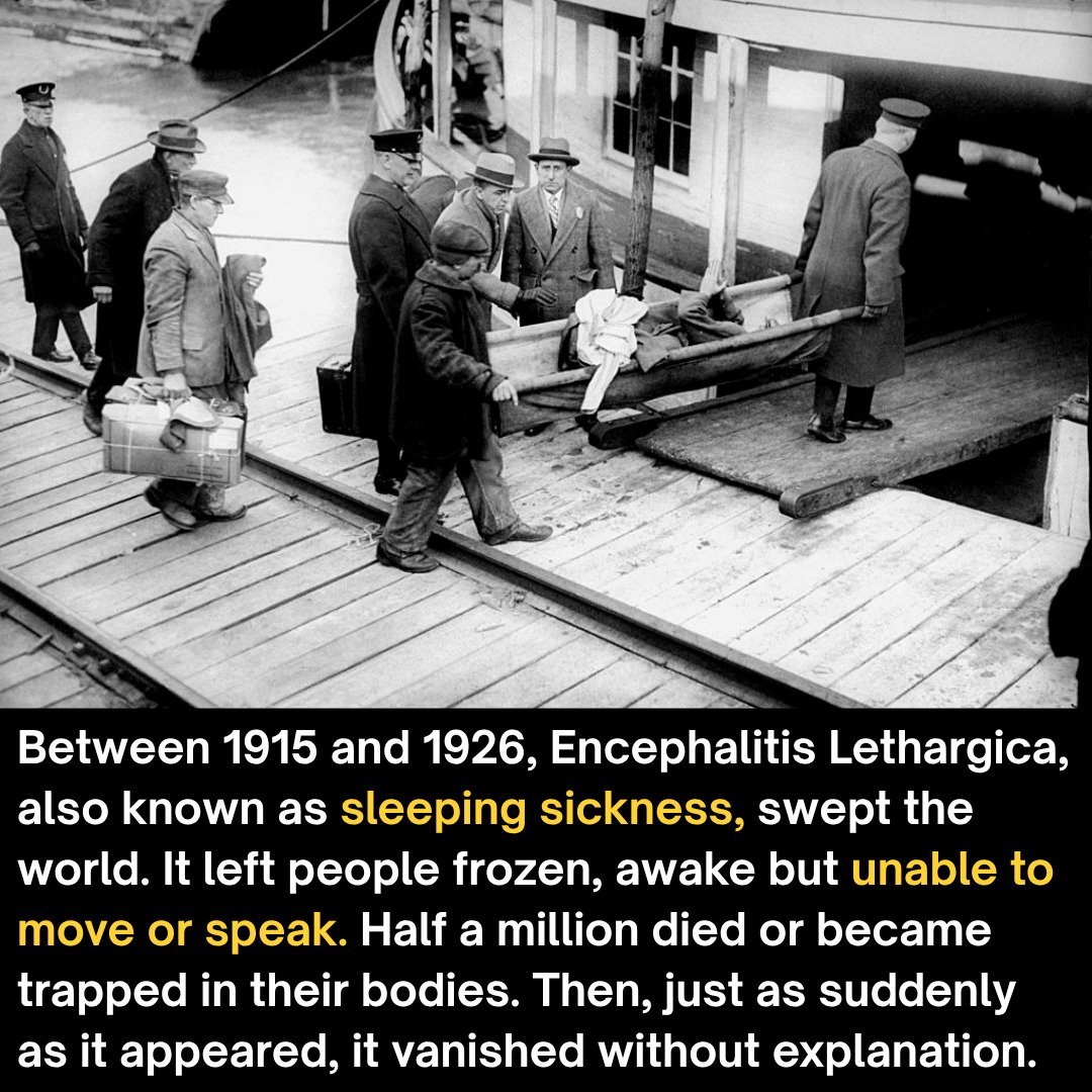 DYK921.jpg