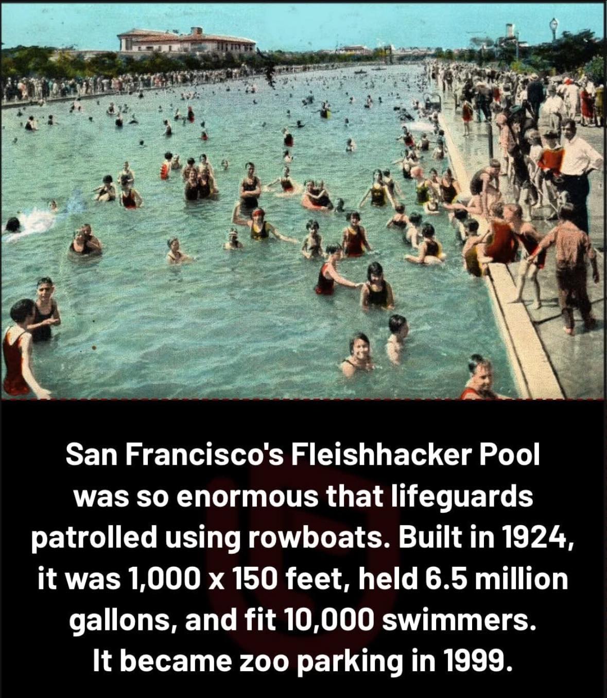 DYK922.jpg