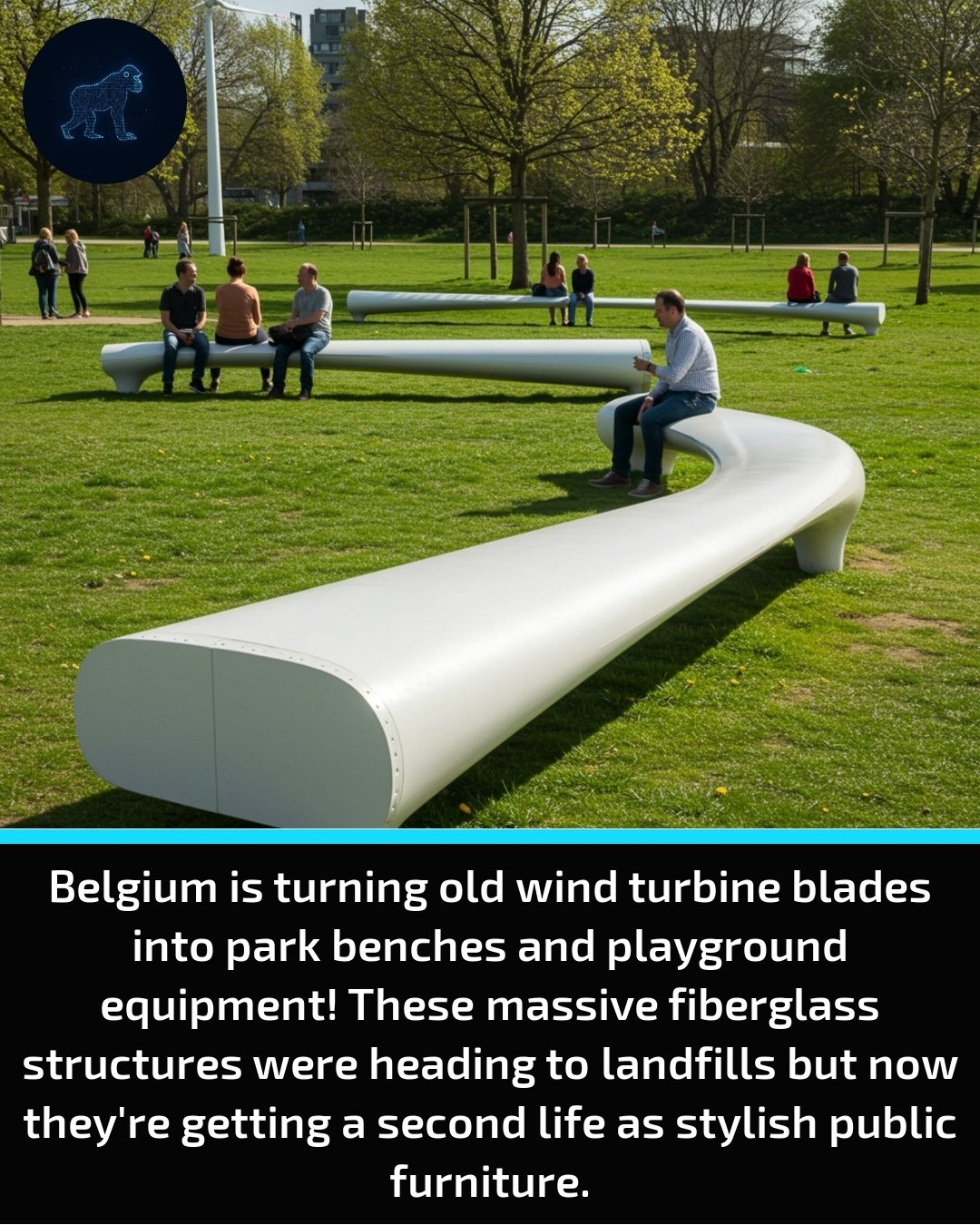 DYK923.jpg