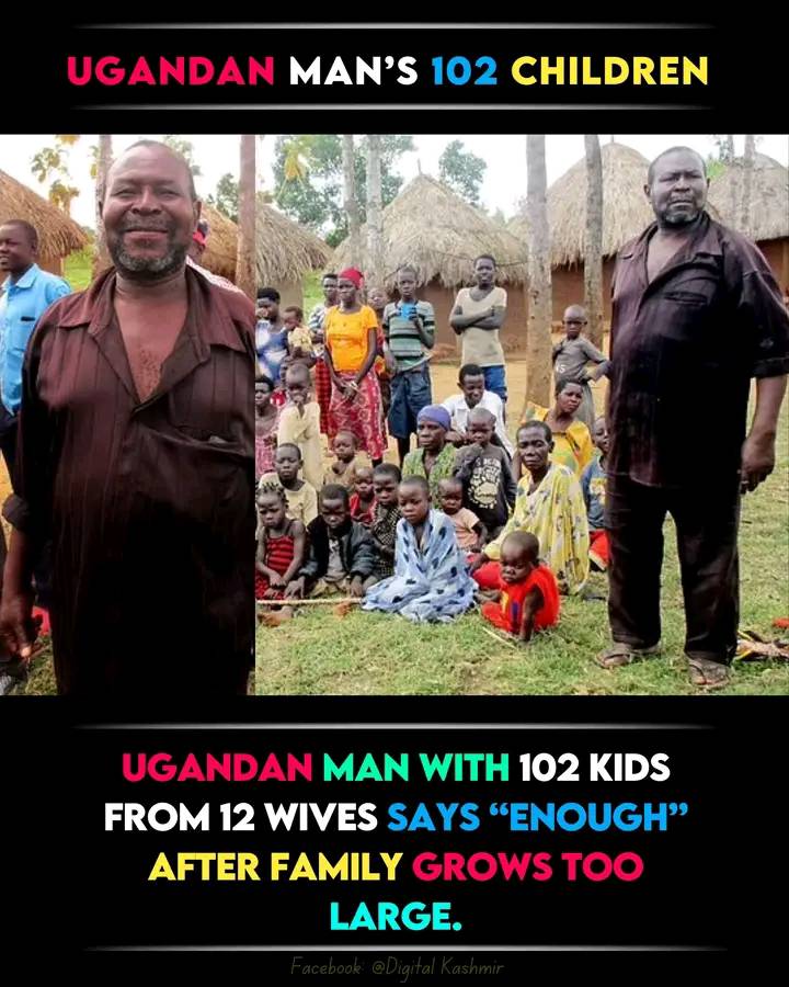 DYK933.jpg